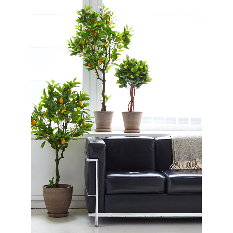 Bay Isle Home 28'' Faux Lemon Tree in Pot Wayfair